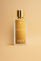 Marc-Antoine Barrois Encelade