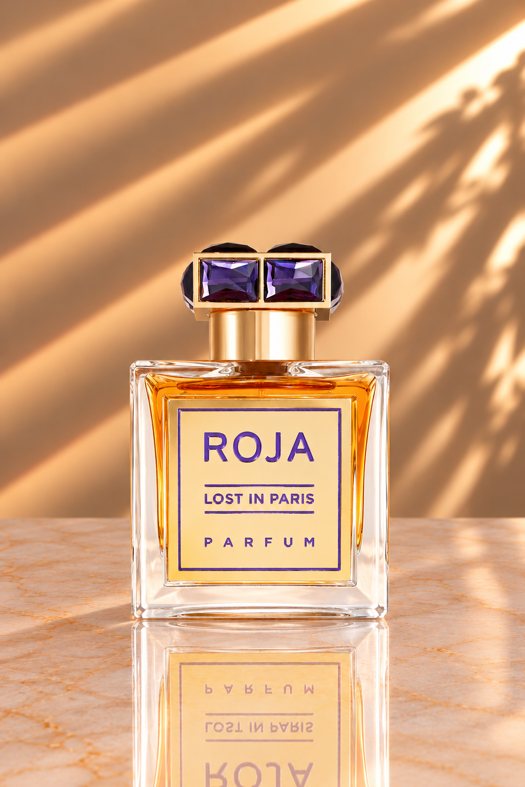 Roja Lost in Paris